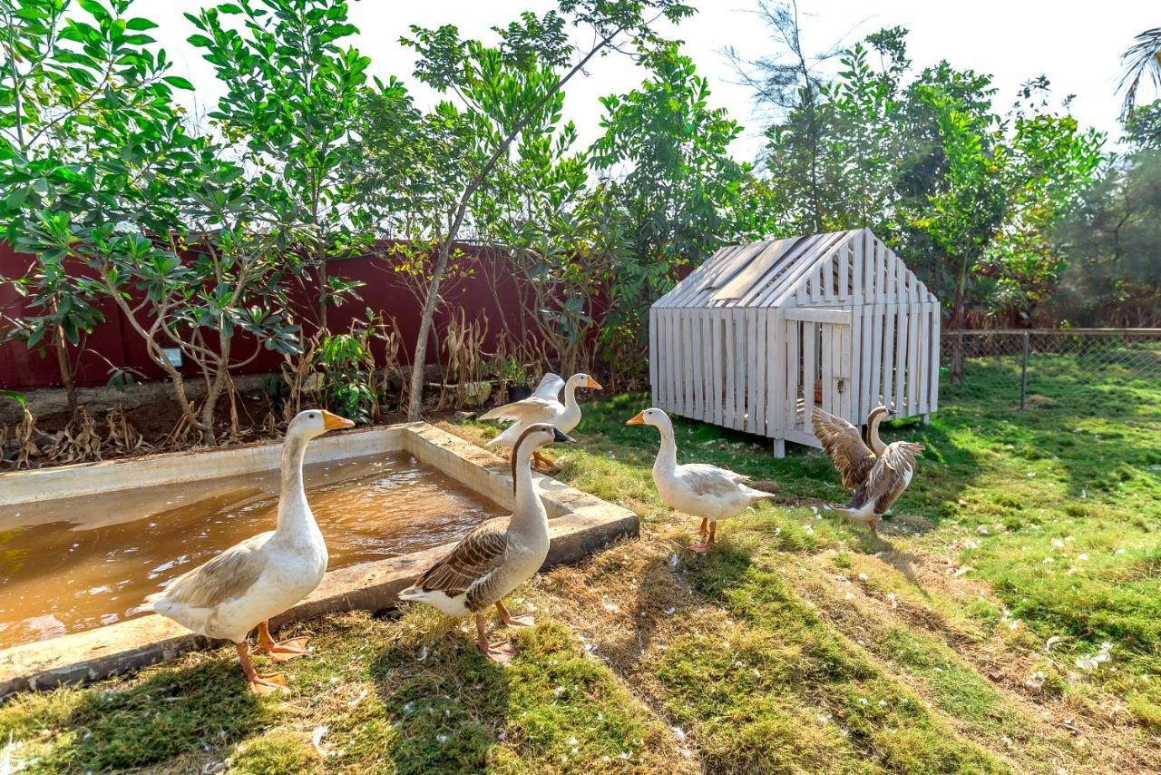 Saffronstays Palm Paradise, Kalyan Khadavli - Swimming Pool With Water Slides, Gazebo And Indoor Games Padghe Eksteriør bilde